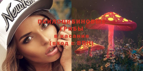 амф Аркадак